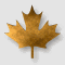 Lipse's Avatar